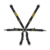 Schroth Porsche GT3 Profi 2X2 Harness